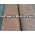 good quality plywood no need fumigation